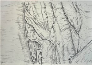 Image description is not available for 2024.222